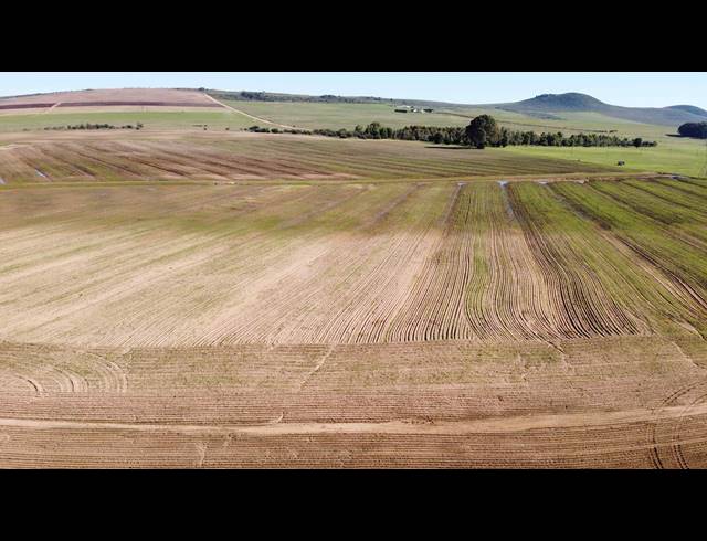 110HA FARM FOR SALE IN MALMESBURY RURAL